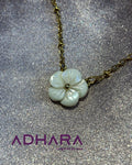 Collar Flor Concha Acero Inoxidable  (8811)